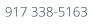 917 338-5163
