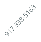 917 338-5163