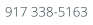 917 338-5163