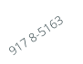 917 8-5163