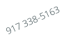 917 338-5163